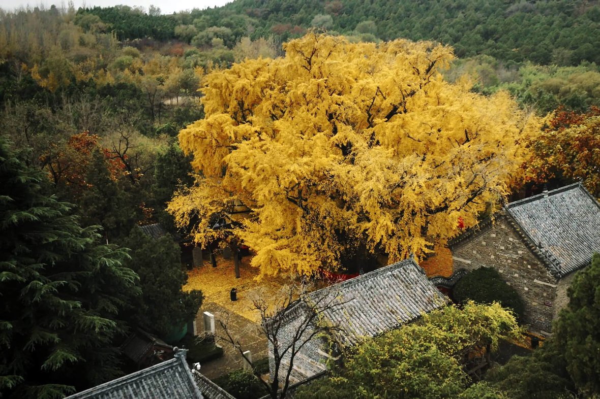 5 ELEMENTE DER UNENDLICHKEIT