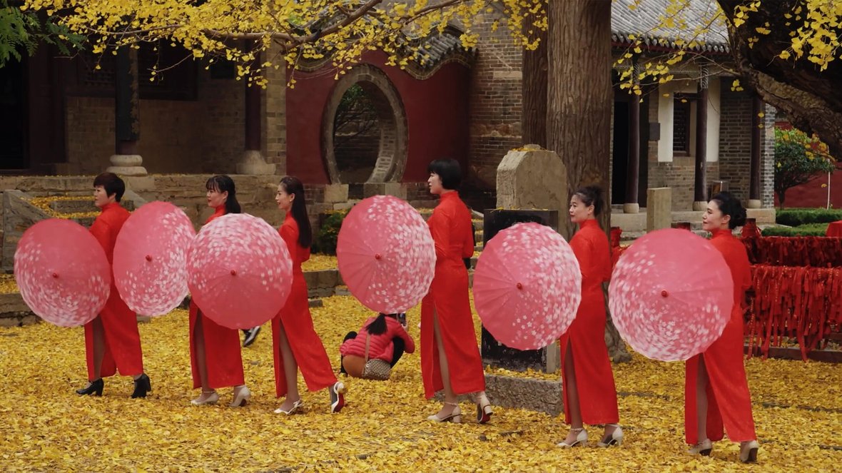 Colours of China – Ginkgo-Performance