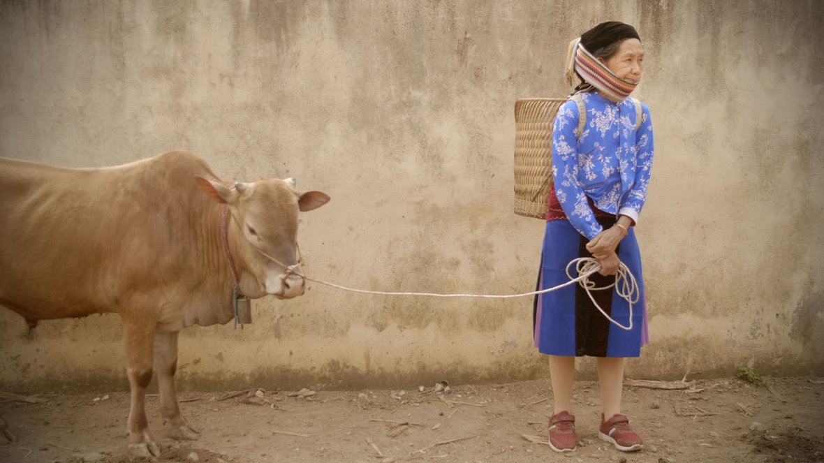 Abenteuer Vietnam – Bild 4