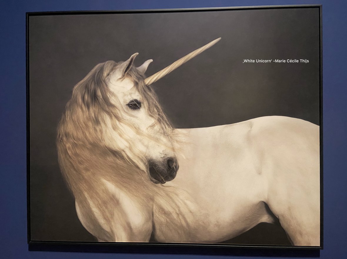 Das Einhorn – Bild 7