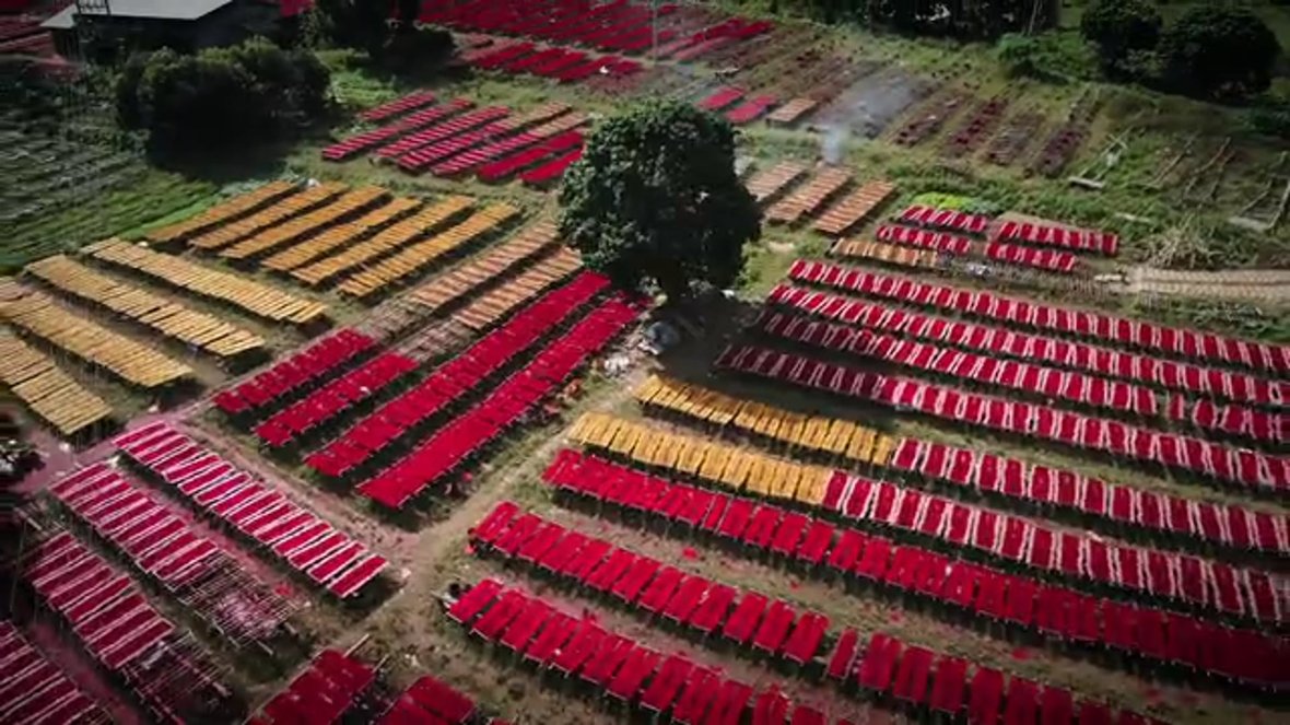 Trailer Colours of China