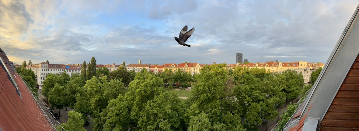 Panoramablick vom Balkon über den Boxhagener Platz